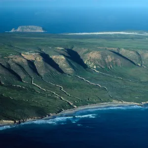 South side just east of Crook Point, San Miguel Island
