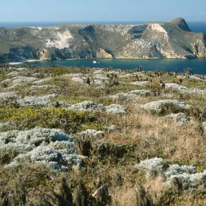 View of Cuyler Harbor, San Miguel Island