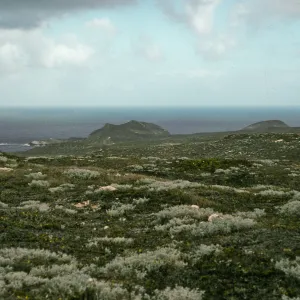 Harris Point Peninsula, San Miguel Island