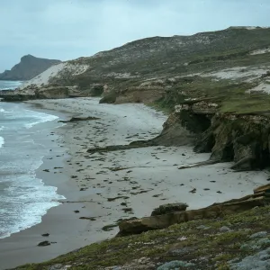 Charcoal Cove, West end of Simonton Beach, San Miguel Island