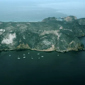 Harris Point, San Miguel Island