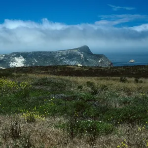 Lester Ranch Site, San Miguel Island