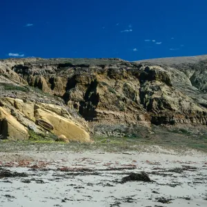 Santa Cruz Island, bluffs, Sauces Beach