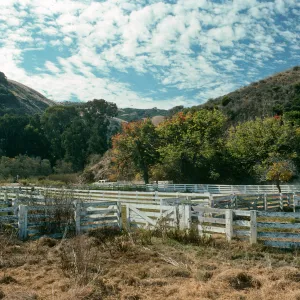 Santa Cruz Island, Prisoners Harbor, cattle pens