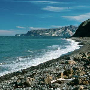 Santa Cruz Island, beach, Prisoners Harbor
