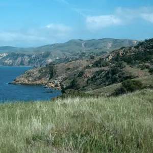 Santa Cruz Island, East of Pelican Bay