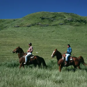 Santa Rosa Island, Vaqueros near landing strip