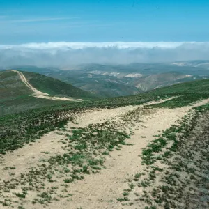 Burma Road at Whetstone Canyon, Santa Rosa Island