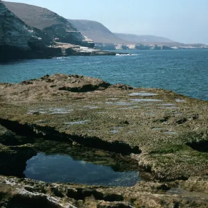 Santa Rosa Island, tidepools, Cow Canyon mouth
