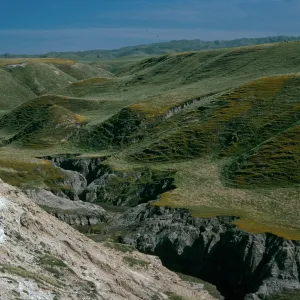 Santa Rosa Island, Dry Canyon