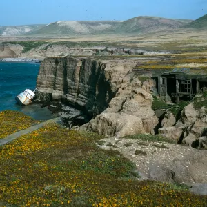 Santa Rosa Island, Orrs Camp, wreck of Pleiades
