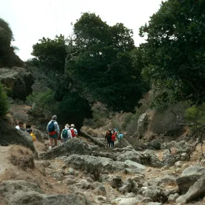 Santa Rosa Island, Cherry Canyon