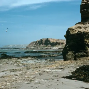 Santa Rosa Island, coastline, West of Tecolote Canyon