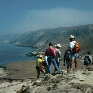 Santa Rosa Island, mouth of Lobo Canyon, looking East