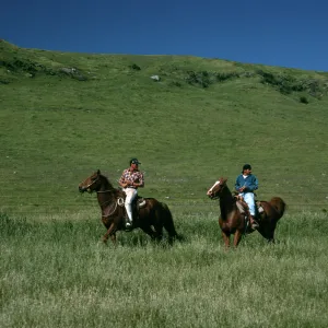 Santa Rosa Island, vaqueros, near landing strip
