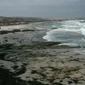 Santa Rosa Island, beach, North of Sandy Point