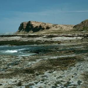 Santa Rosa Island, beach, West of Tecolote Canyon