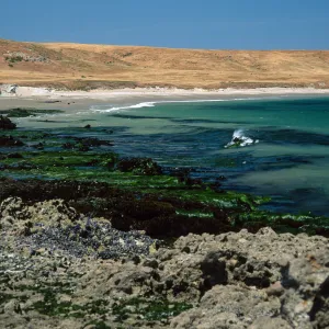Santa Rosa Island, low tide near East Point