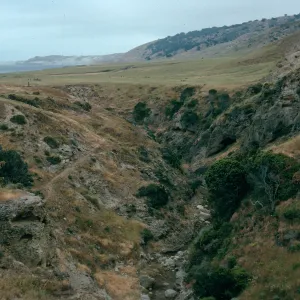 Santa Rosa Island, Water Canyon below campground