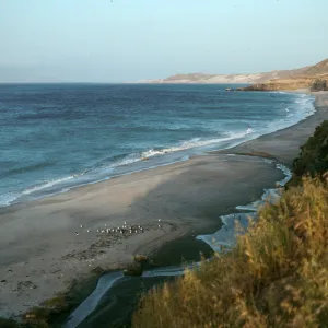Santa Rosa Island, looking East, mouth of Water Canyon