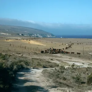 Santa Rosa Island, just West of ranch, Beechers Bay