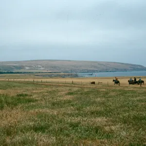 Santa Rosa Island, vaqueros, Beechers Bay airfield