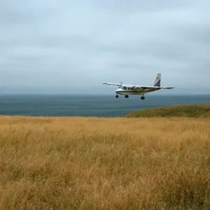 Santa Rosa Island, Islander, Beechers Bay