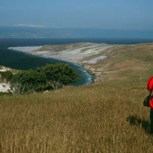 View of Skunk Point from Ridge Above Torrey Pines, Santa Rosa Island