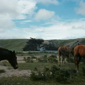 Santa Rosa Island, Cliff house, Vail Ranch