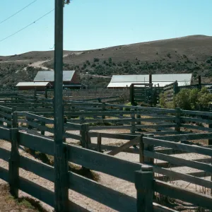 Santa Rosa Island, Vail Ranch