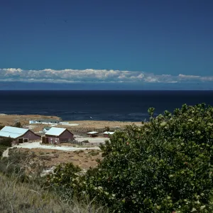 Santa Rosa Island, Vail Ranch