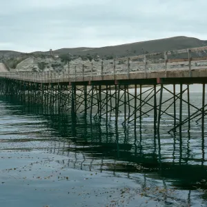 Santa Rosa Island, pier, Vail Ranch