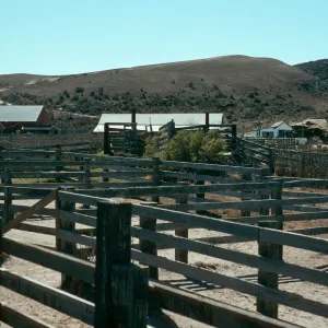 Santa Rosa Island, Vail Ranch