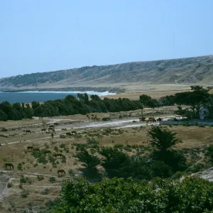 Santa Rosa Island, Vail Ranch, Beechers Bay