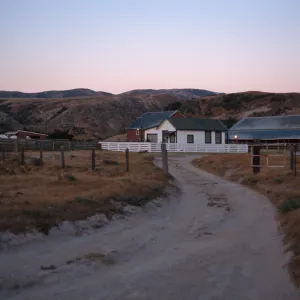 Santa Rosa Island, Vail Ranch at dawn