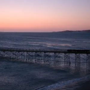 Santa Rosa Island, cattle drive at dawn, Vail Ranch