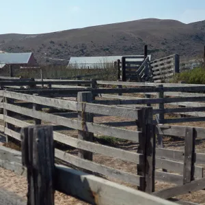 Santa Rosa Island, corrals, Vail Ranch
