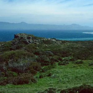 Santa Rosa Island, view of Skunk Point & Santa Cruz Island from upper road to Torrey Pines