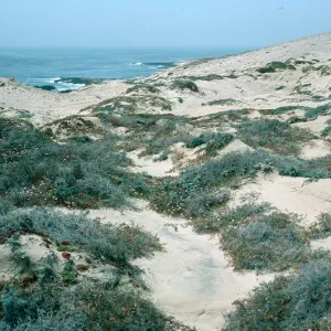 San Nicolas Island, South end, East of Seal Beach