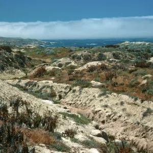 San Nicolas Island, view of North shore, head of Celery Canyon