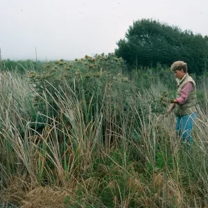 San Nicolas Island, Cynara, Julie Vanderwier, Building 120, Tufts Road