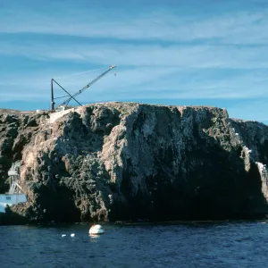 East Anacapa Island, Landing Cove