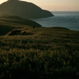 Middle Anacapa Island, looking West at dusk