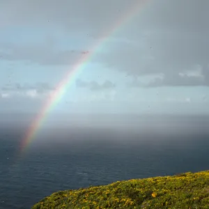 West Anacapa Island, rainbow over Oak Canyon