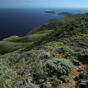 West Anacapa Island, East of Summit Peak, looking East