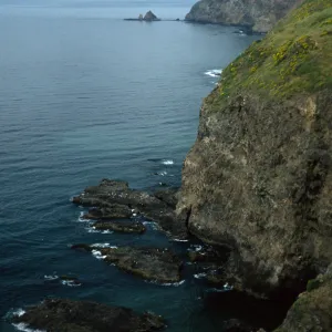 Middle Anacapa Island, looking West toward Cat Rock