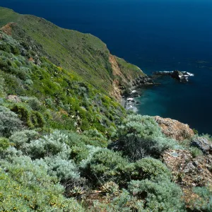West Anacapa Island, Cat Rock from Summit Peak