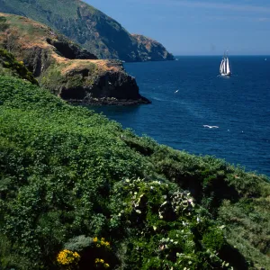 Middla Anacapa Island, tall ship “California”, Sheep Camp
