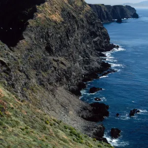 Middle Anacapa Island, looking East from vicinty of East Fish Camp
