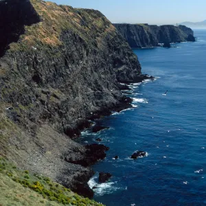 Middle Anacapa Island, looking East from vicinty of East Fish Camp